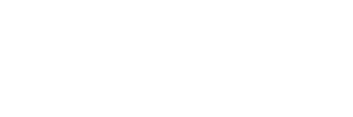 DoubleVerify_white